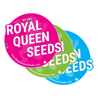 Free feminized cannabis seeds with your order Free feminized cannabis seeds with your order